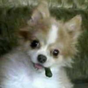 Meet your Posher, Stacey